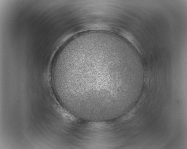 X0000070421074200606161432