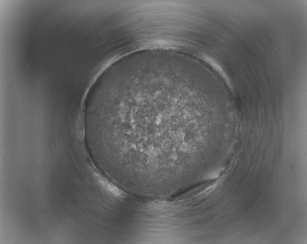 X0000070421075200606161432