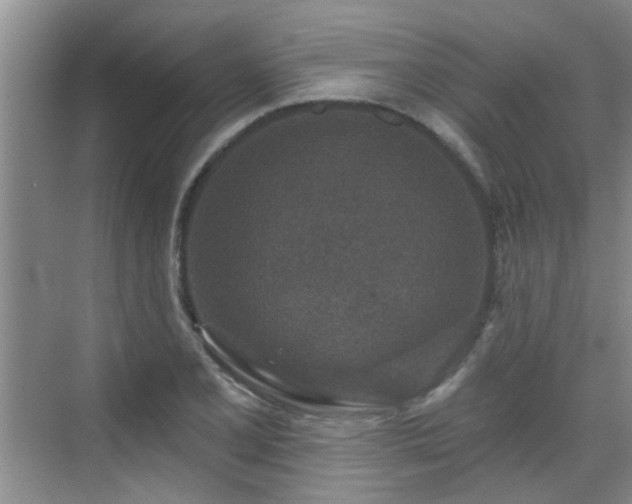 X0000070421077200606161432