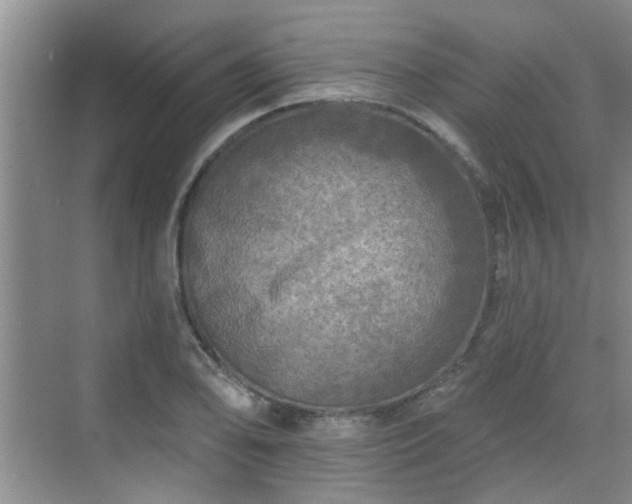 X0000070421078200606161432