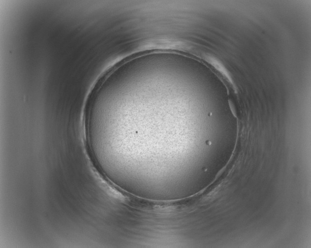 X0000070421080200606161432