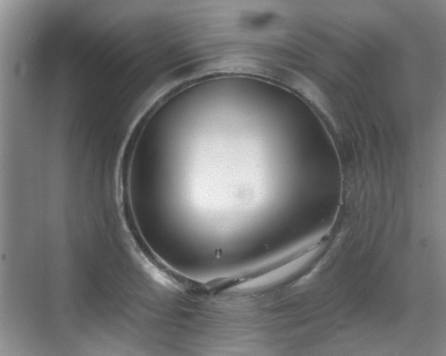 X0000070421082200606161432