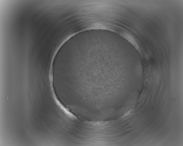 X0000070421084200606161432