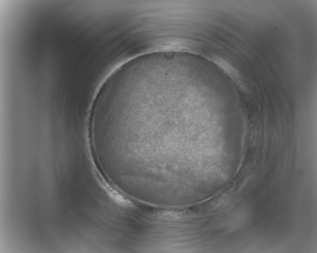 X0000070421086200606161432