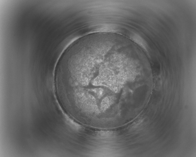 X0000070421087200606161432