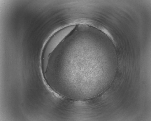 X0000070421088200606161432