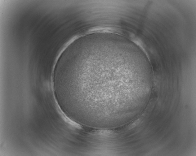 X0000070421090200606161431