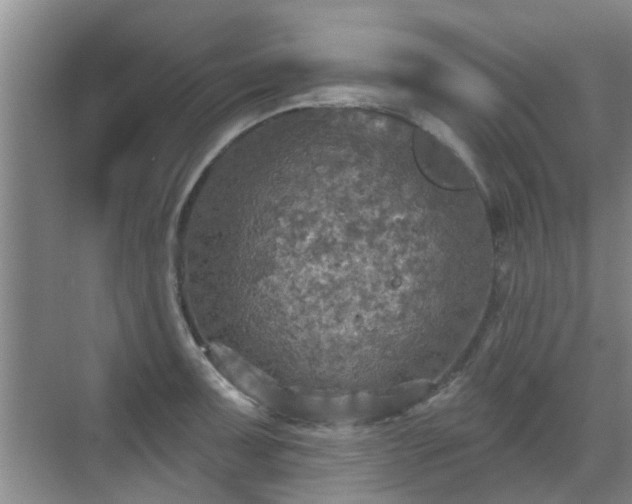 X0000070421091200606161431