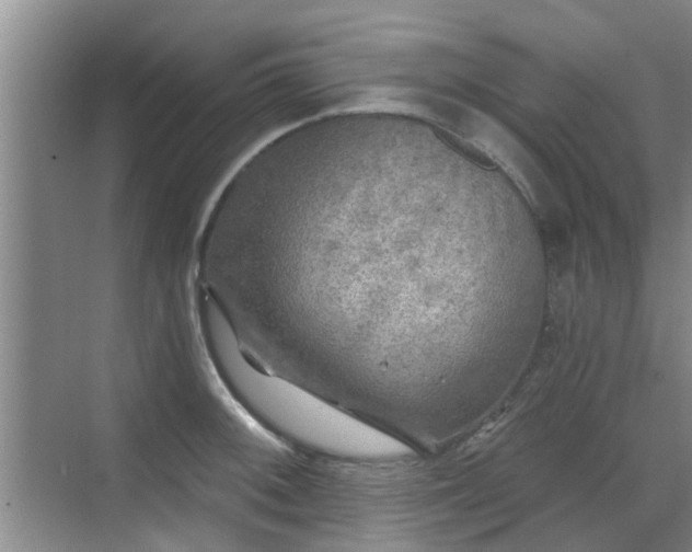 X0000070421092200606161431