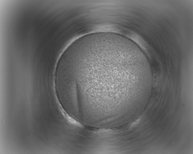 X0000070421094200606161431