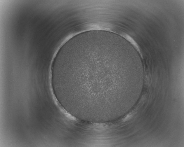 X0000070421096200606161431