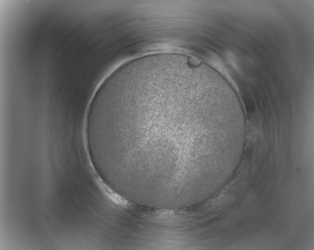 X0000070421098200606161431