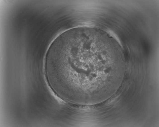 X0000070421099200606161431