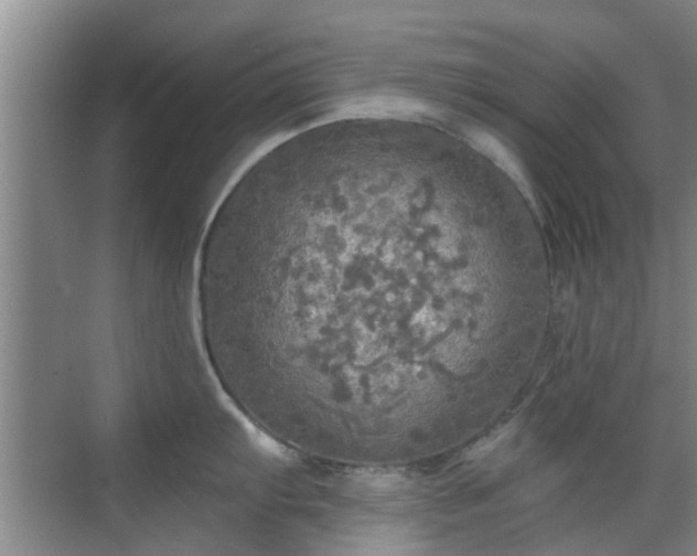 X0000070421103200606161431