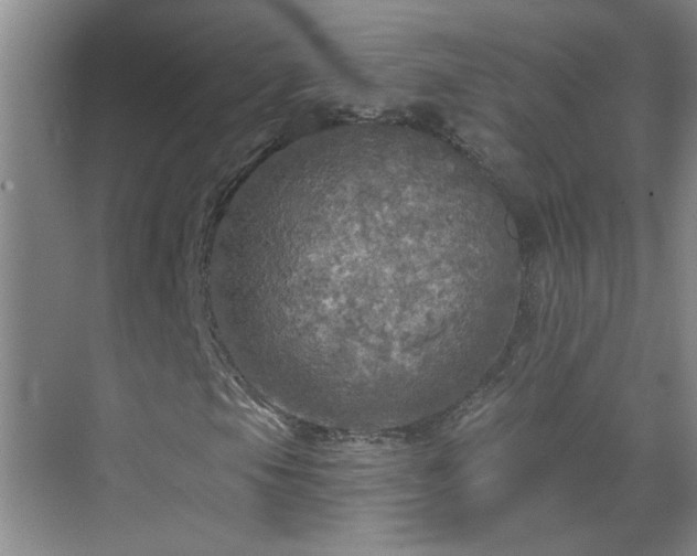 X0000070421105200606161430