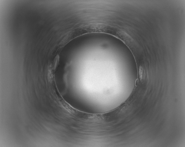 X0000070421107200606161430