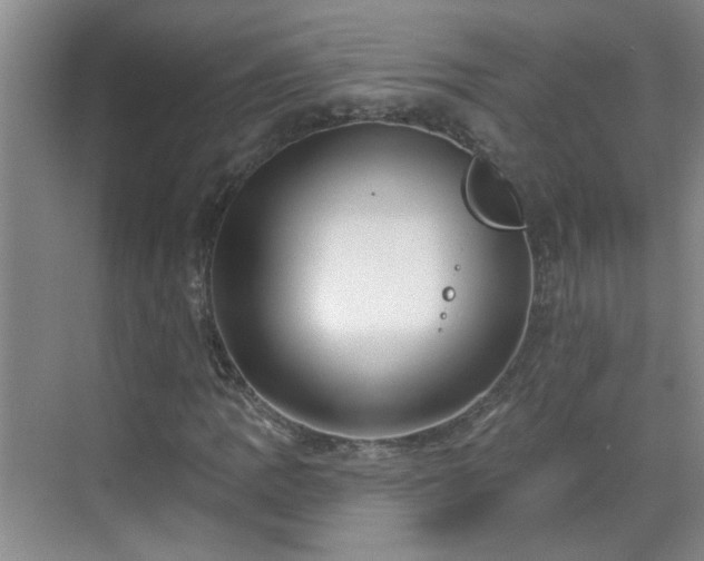 X0000070421109200606161430