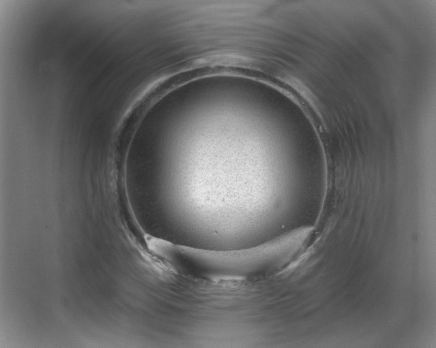 X0000070421115200606161431