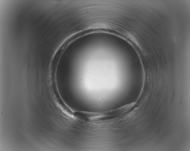 X0000070421116200606161431