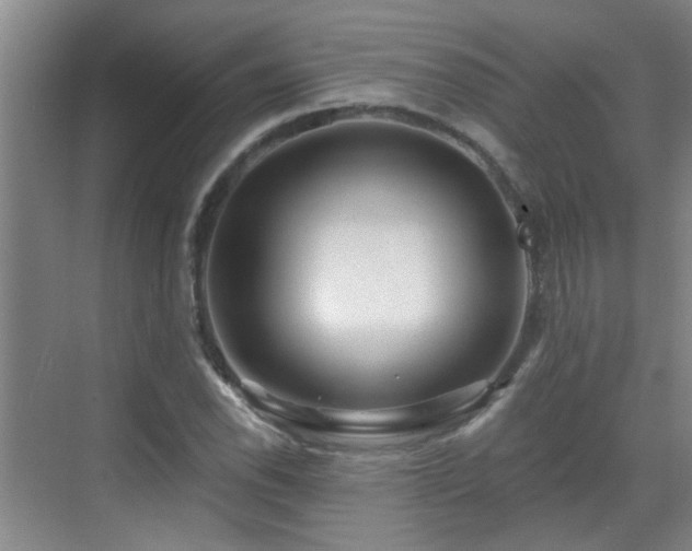 X0000070421118200606161431