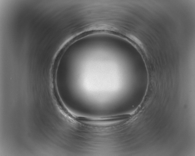 X0000070421120200606161431