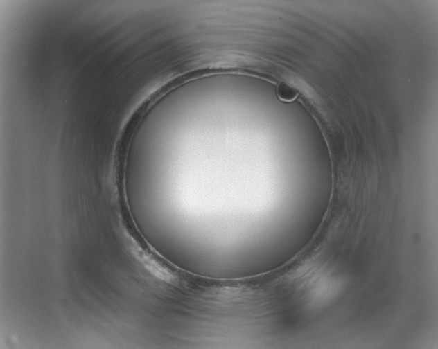 X0000070421122200606161431