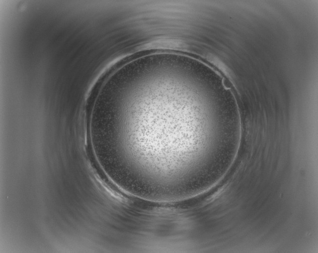 X0000070421123200606161431