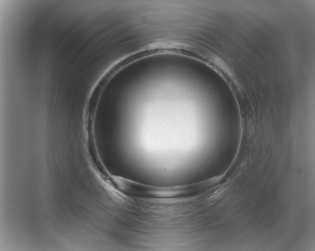 X0000070421124200606161431