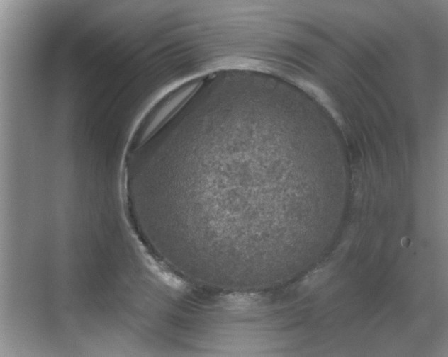 X0000070421125200606161431