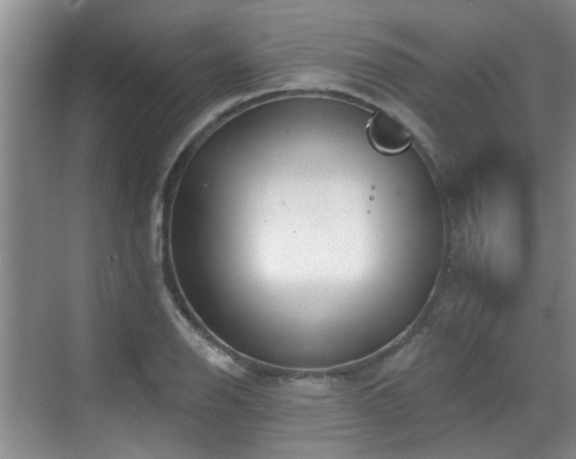 X0000070421126200606161431