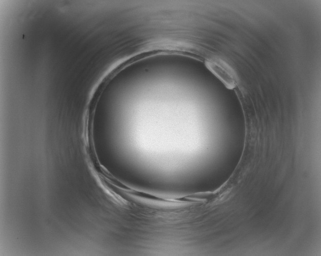 X0000070421128200606161431