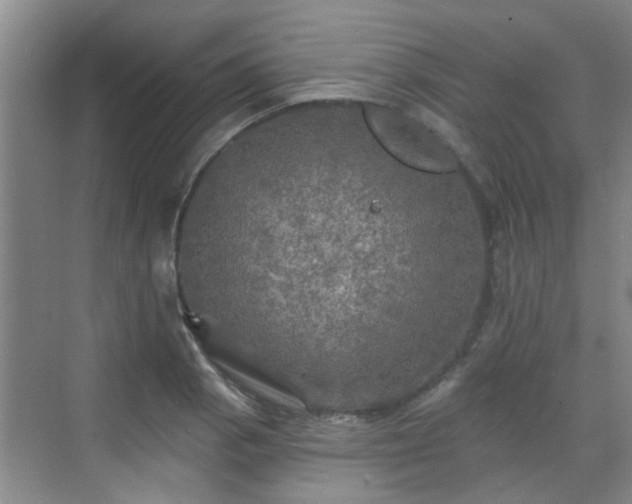 X0000070421129200606161431