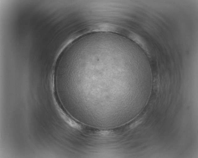 X0000070421130200606161431