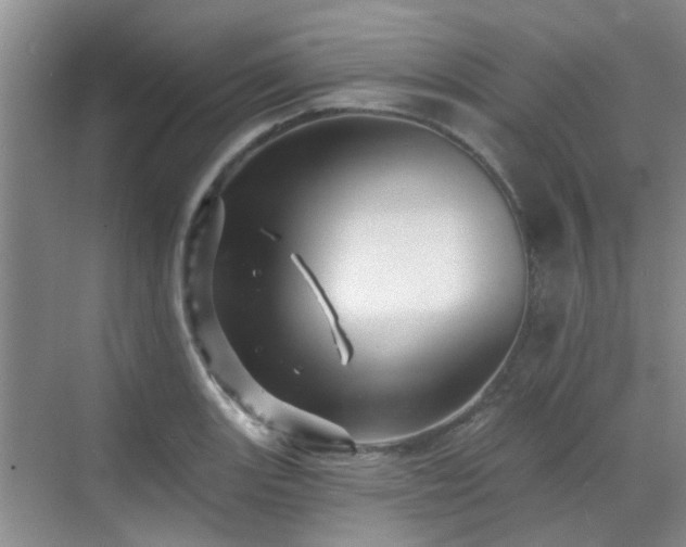 X0000070421131200606161431