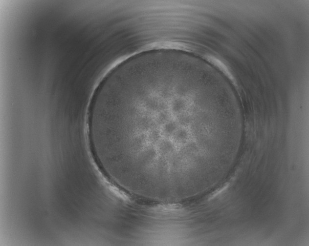 X0000070421133200606161431