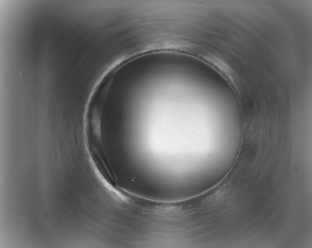 X0000070421135200606161431