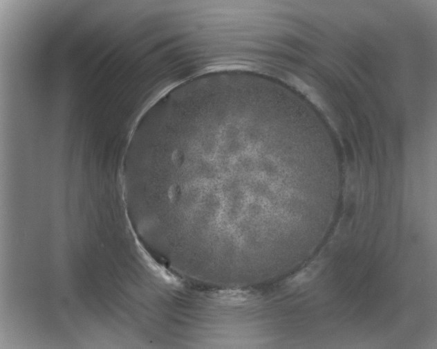 X0000070421137200606161431