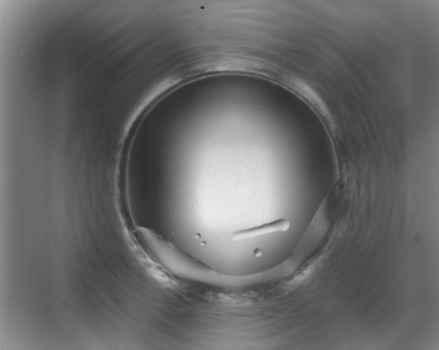 X0000070421138200606161431