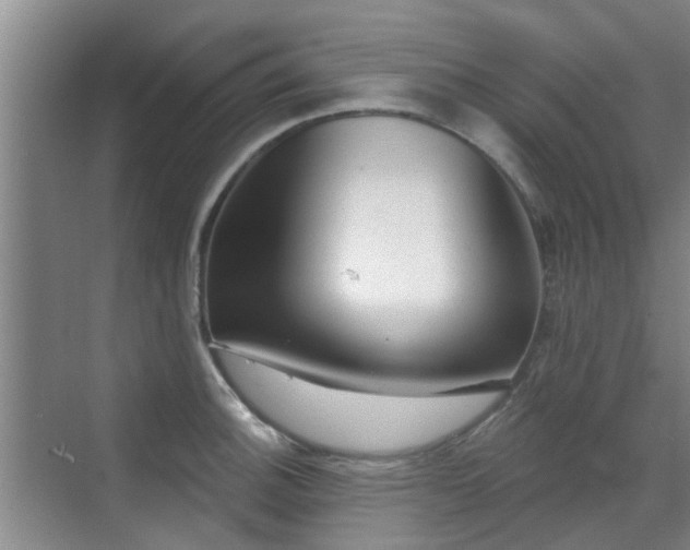 X0000070421140200606161431