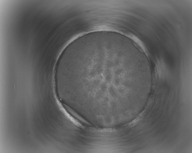 X0000070421142200606161431