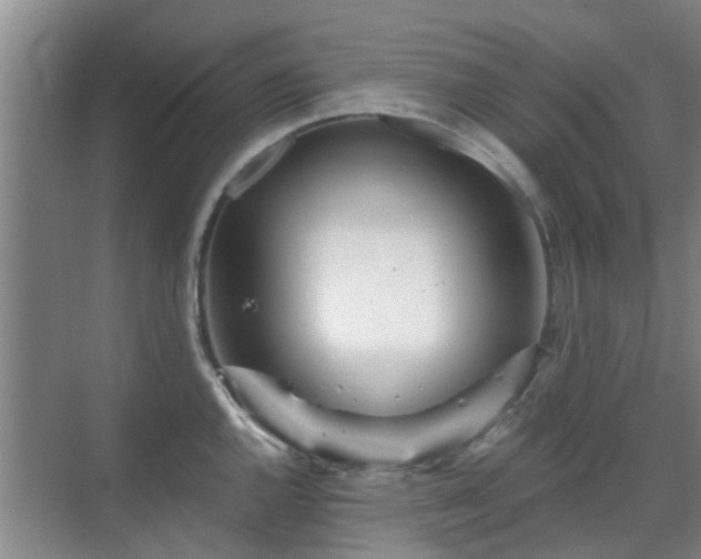 X0000070421144200606161431