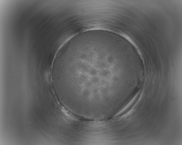 X0000070421145200606161431