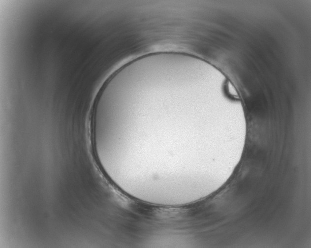 X0000070421150200606161431