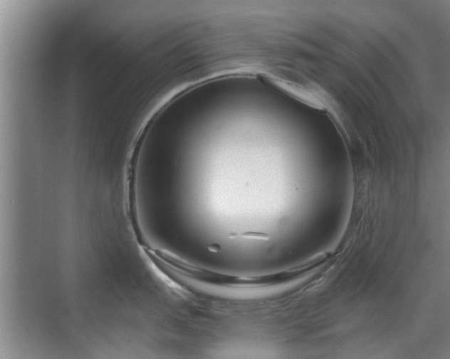 X0000070421151200606161431