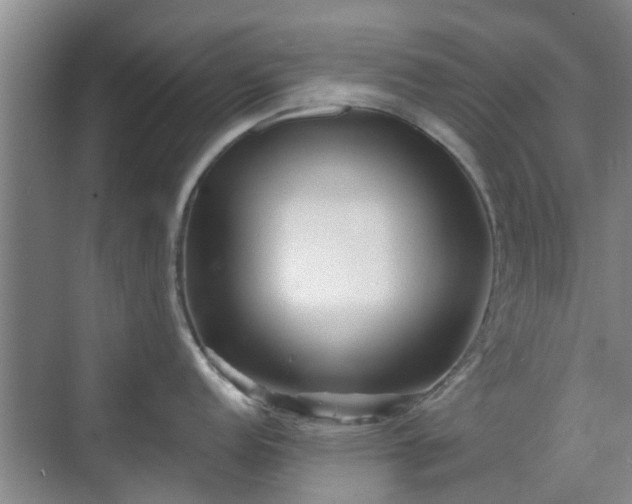 X0000070421152200606161431