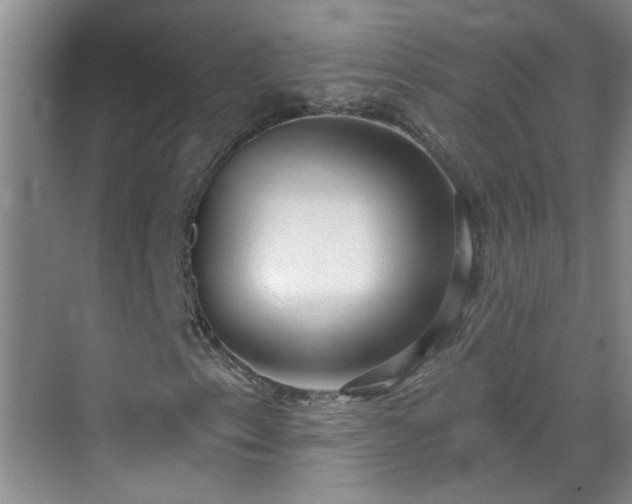 X0000070421153200606161430