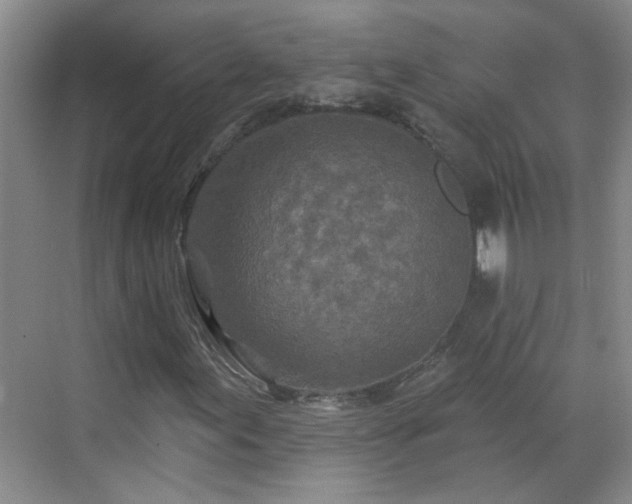 X0000070421155200606161430