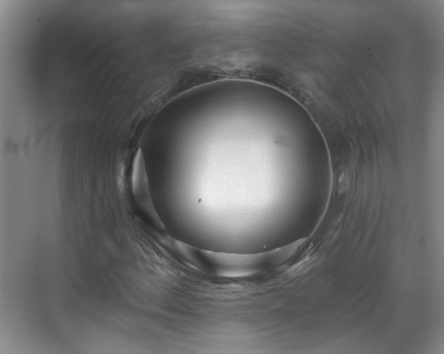 X0000070421156200606161430