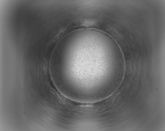 X0000070421158200606161430