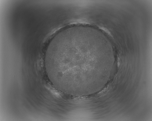 X0000070421159200606161430